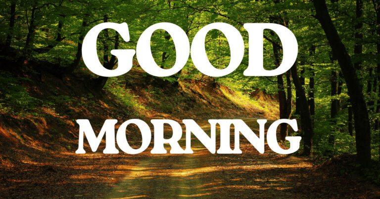 Good Morning Images with Flowers & Nature