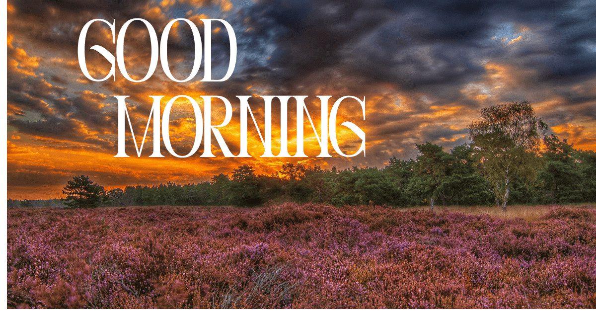 Top 35+ Good Morning Pics with Positive Vibes