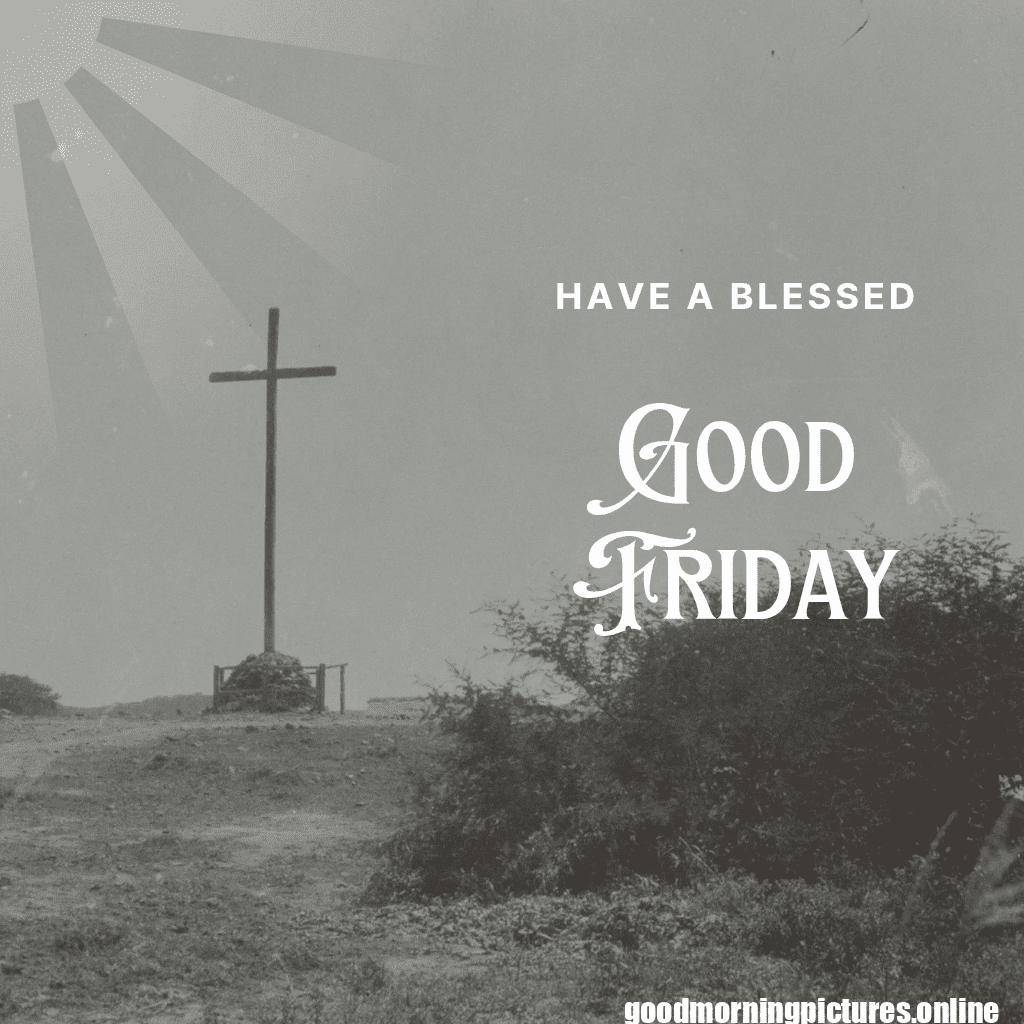 Lovely Good Morning Friday Pictures