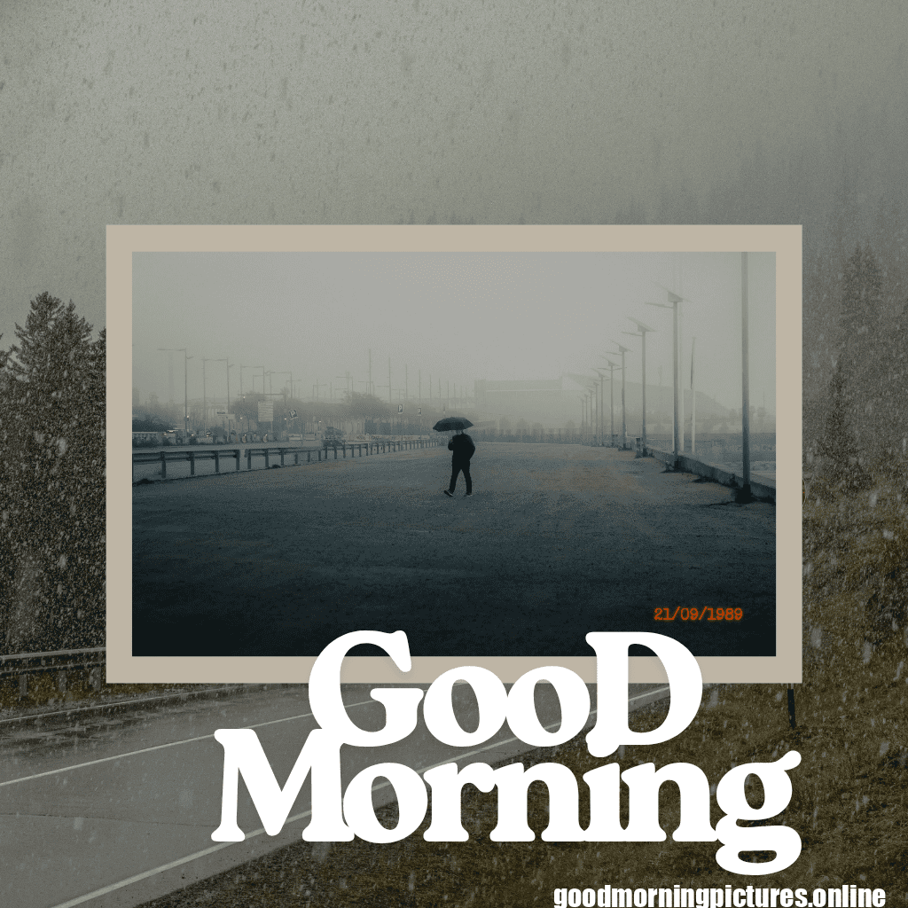 Good Morning Friday Pics