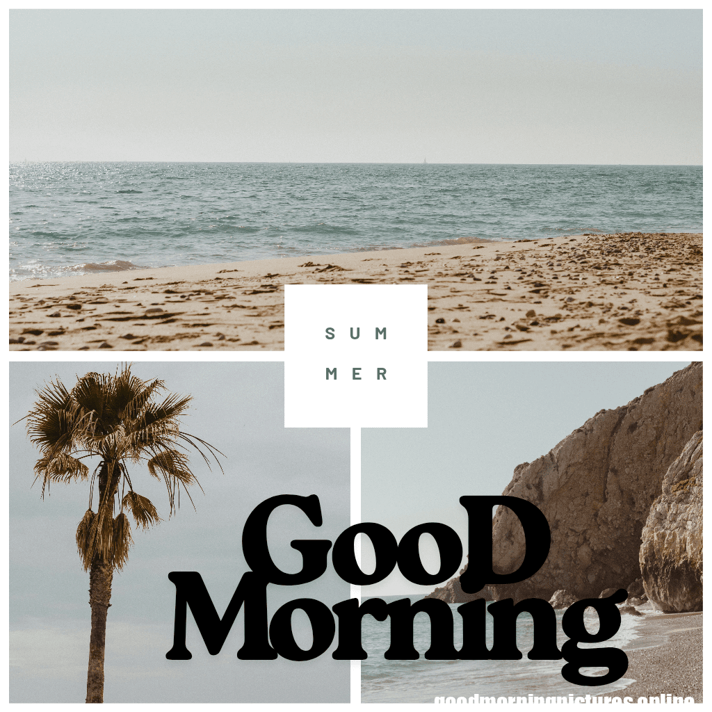 Good Morning Friday Pics