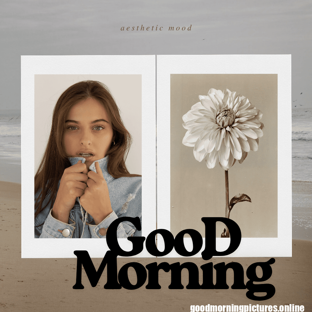 Good Morning Friday Pics