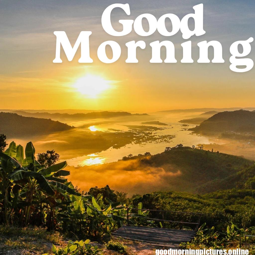 Free Download Good Morning HD Images and Pictures
