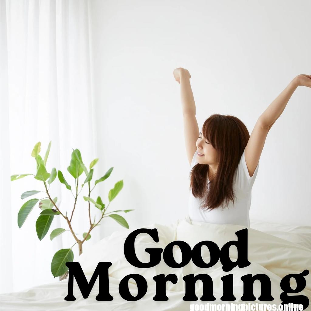Beautiful Good Morning Images HD Free Download