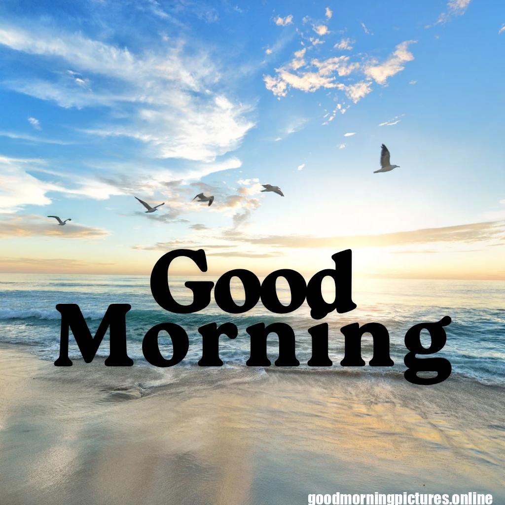 Beautiful Good Morning Images HD Free Download