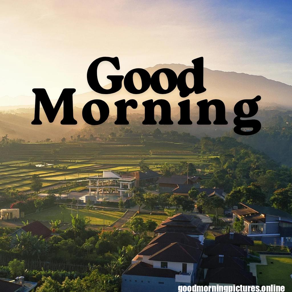 Beautiful Good Morning Images HD Free Download