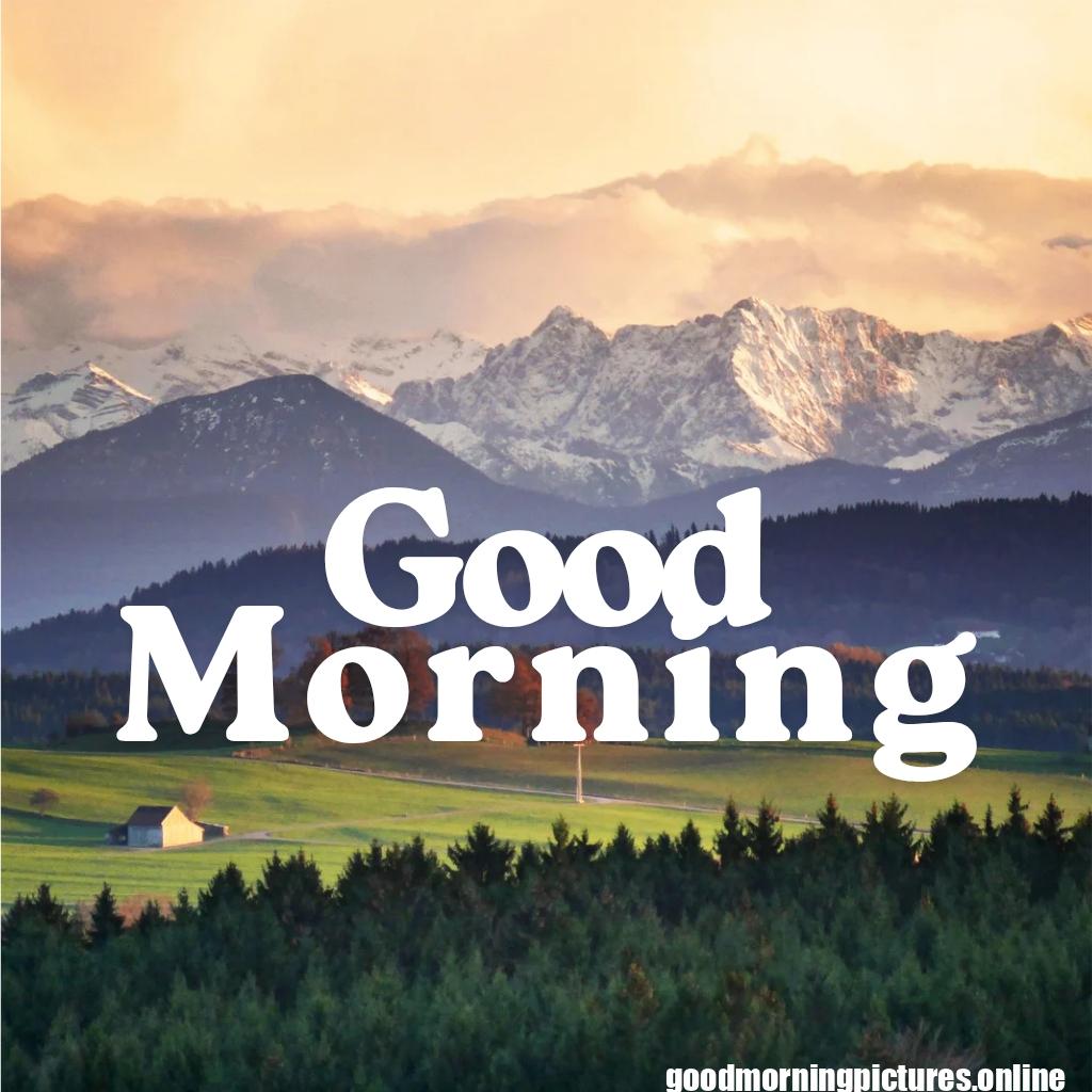 Beautiful Good Morning Images HD Free Download