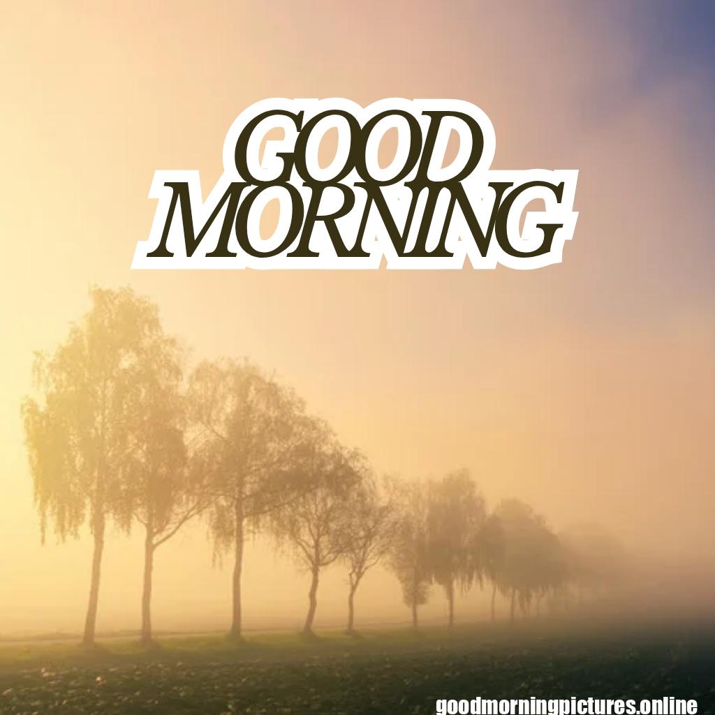 HD Good Morning Pictures and Wallpapers Free Download