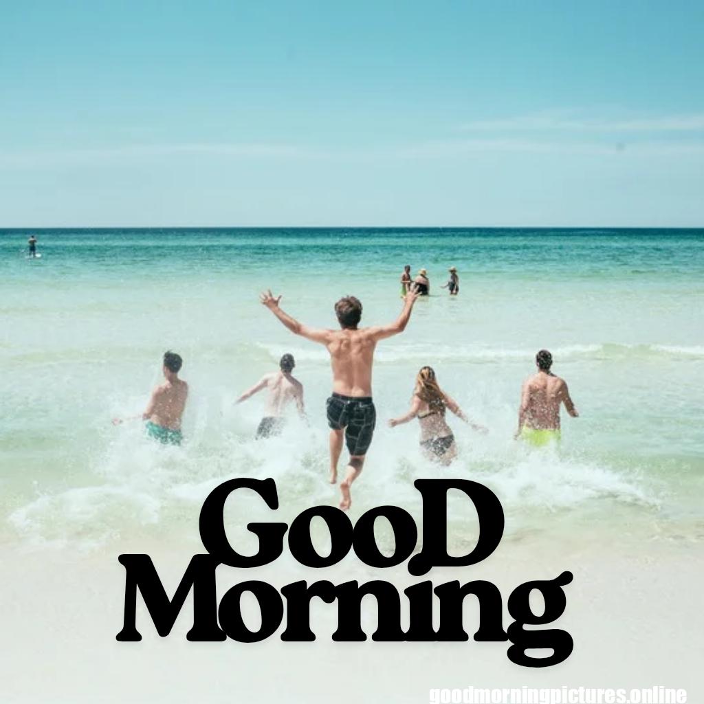 Free Download Good Morning HD Images and Pictures