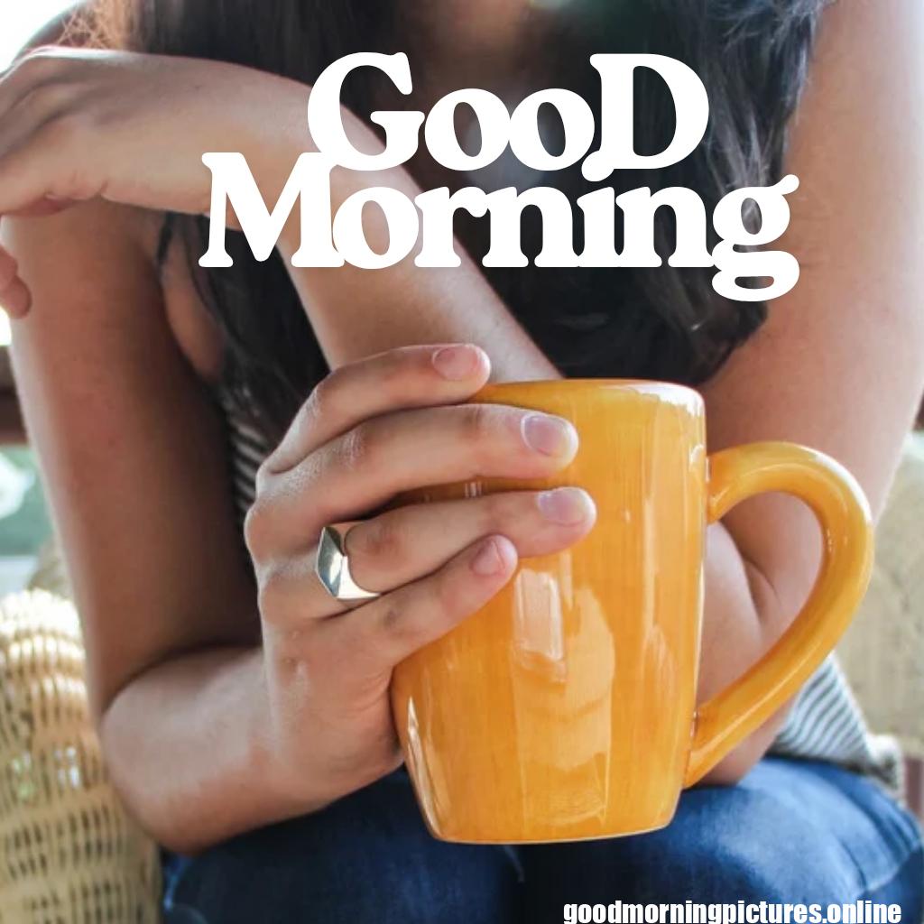 Free Download Good Morning HD Images and Pictures