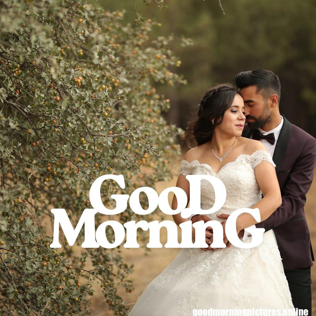 100+ Romantic Good Morning Images for Love in High resolution 86 Romantic Good Morning Images Romantic Good Morning Images for Love