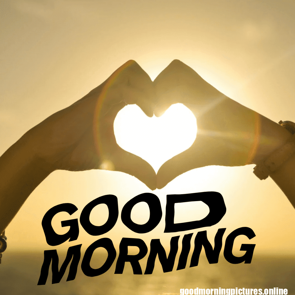 35+ Heart romantic good morning rose Images latest 37 20250913 150543 0005