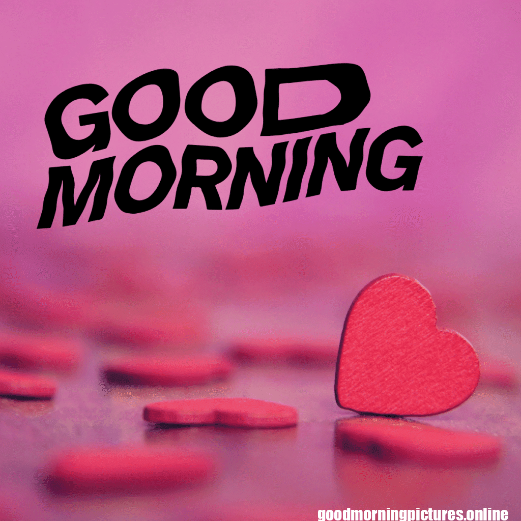 35+ Heart romantic good morning rose Images latest 16 Love Good Morning Rose Photos