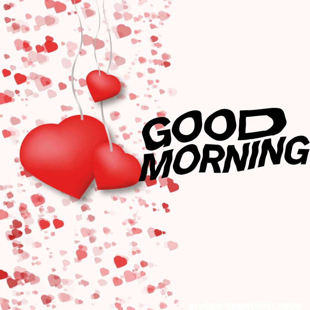 35+ Heart romantic good morning rose Images latest 20 Love Good Morning Rose Photos