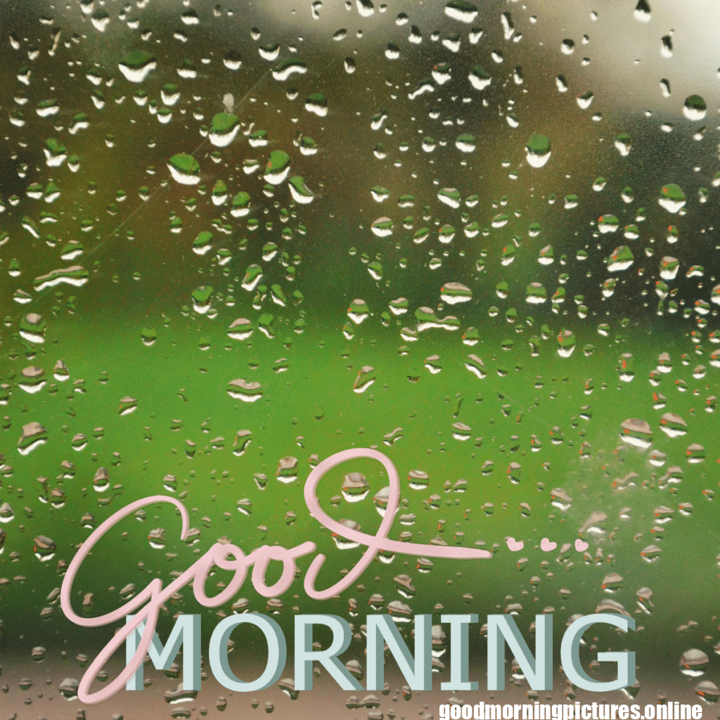 30+ Beautiful rainy good morning Images 32 Rainy Morning Good Morning Wishes