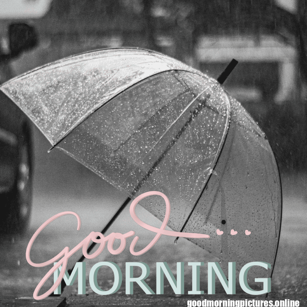 30+ Beautiful rainy good morning Images 33 Rainy Morning Good Morning Wishes