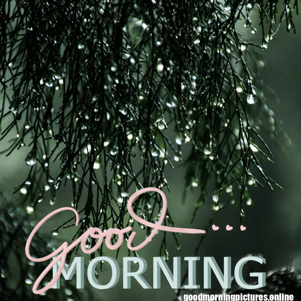 30+ Beautiful rainy good morning Images 35 Beautiful Rain Good Morning Pictures