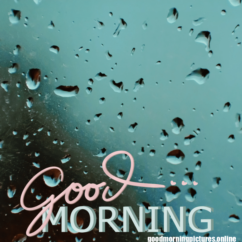 30+ Beautiful rainy good morning Images 8 Rainy Day Good Morning Images