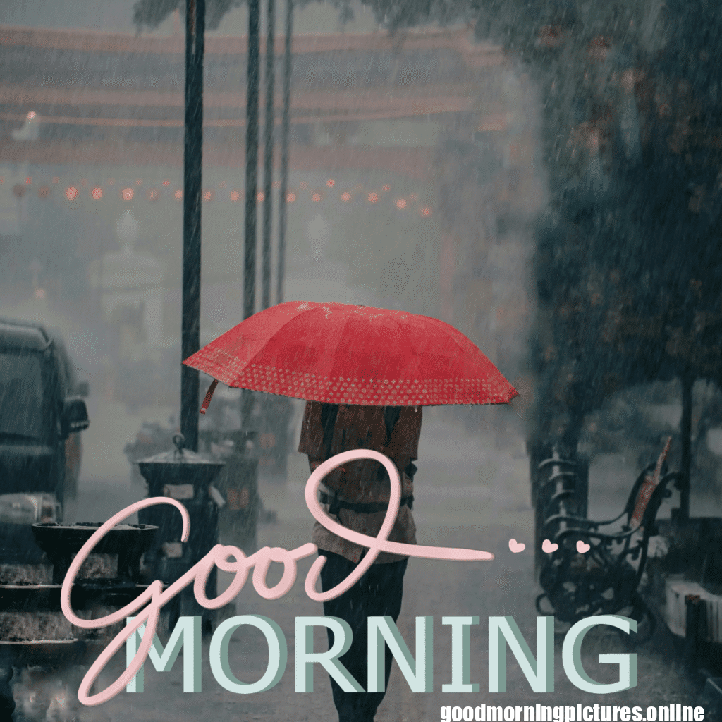 30+ Beautiful rainy good morning Images 9 Rainy Day Good Morning Images