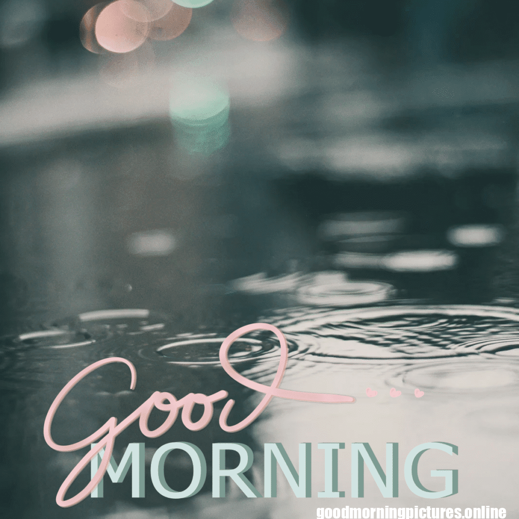 30+ Beautiful rainy good morning Images 10 Rainy Day Good Morning Images