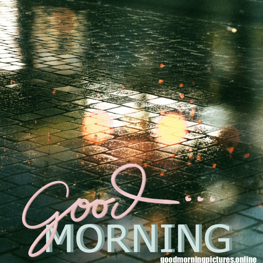 30+ Beautiful rainy good morning Images 11 Rainy Day Good Morning Images