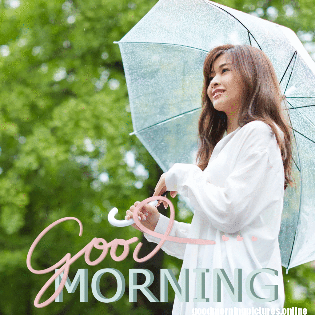 30+ Beautiful rainy good morning Images 14 Rainy Day Good Morning Images