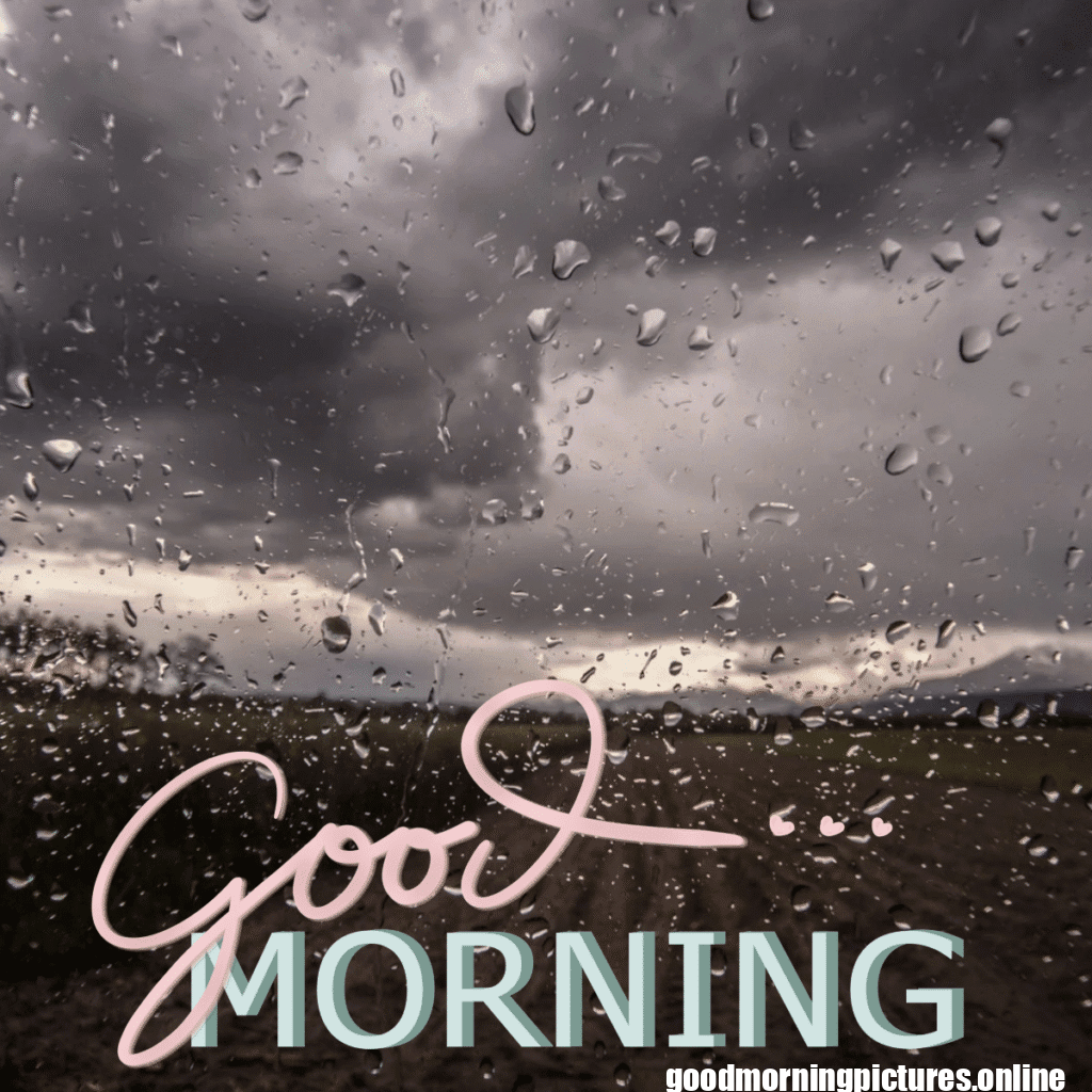 30+ Beautiful rainy good morning Images 15 Rainy Day Good Morning Images