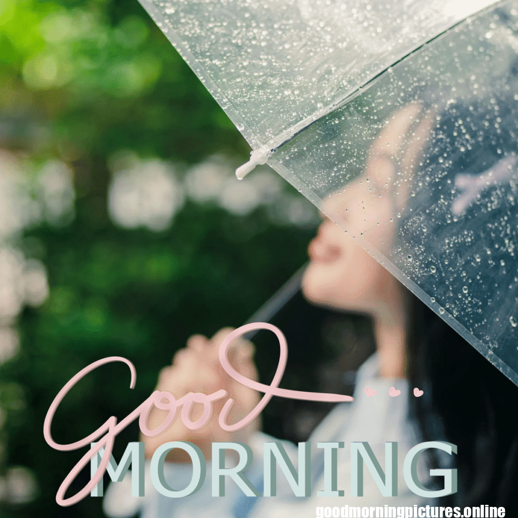30+ Beautiful rainy good morning Images 17 Rainy Day Good Morning Images