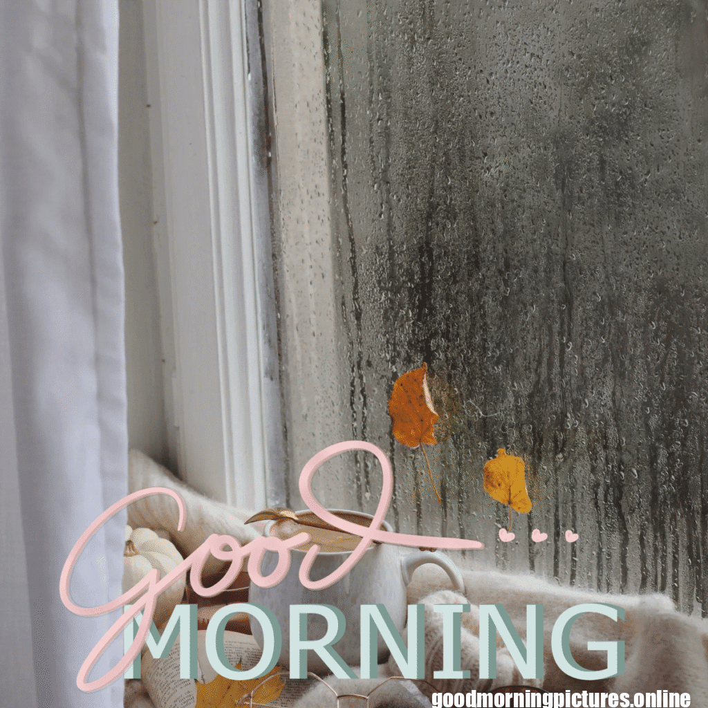 30+ Beautiful rainy good morning Images 18 Rainy Day Good Morning Images