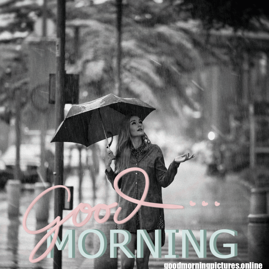 30+ Beautiful rainy good morning Images 20 Rainy Day Good Morning Images