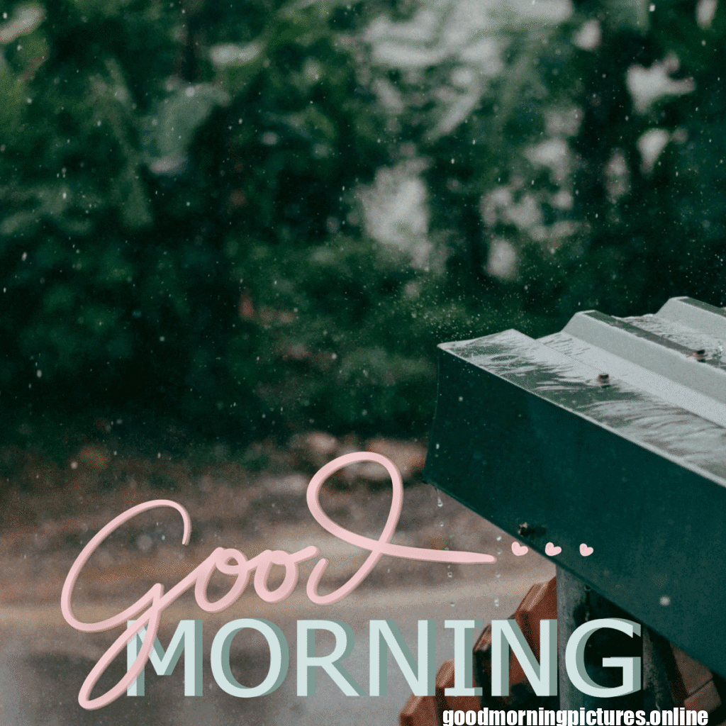 30+ Beautiful rainy good morning Images 22 Rainy Day Good Morning Images