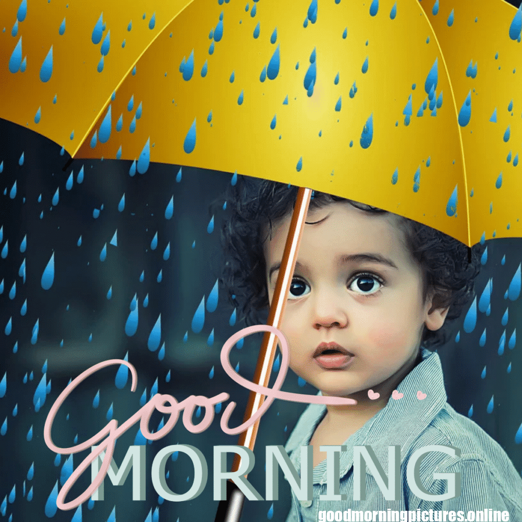30+ Beautiful rainy good morning Images 23 Rainy Day Good Morning Images