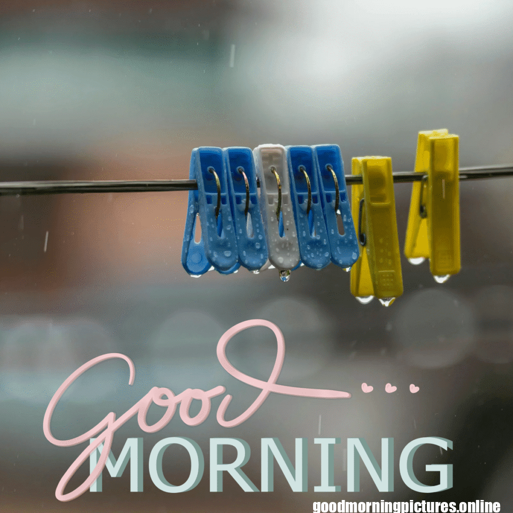 30+ Beautiful rainy good morning Images 26 Rainy Morning Good Morning Wishes