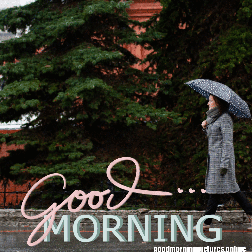 30+ Beautiful rainy good morning Images 28 Rainy Morning Good Morning Wishes