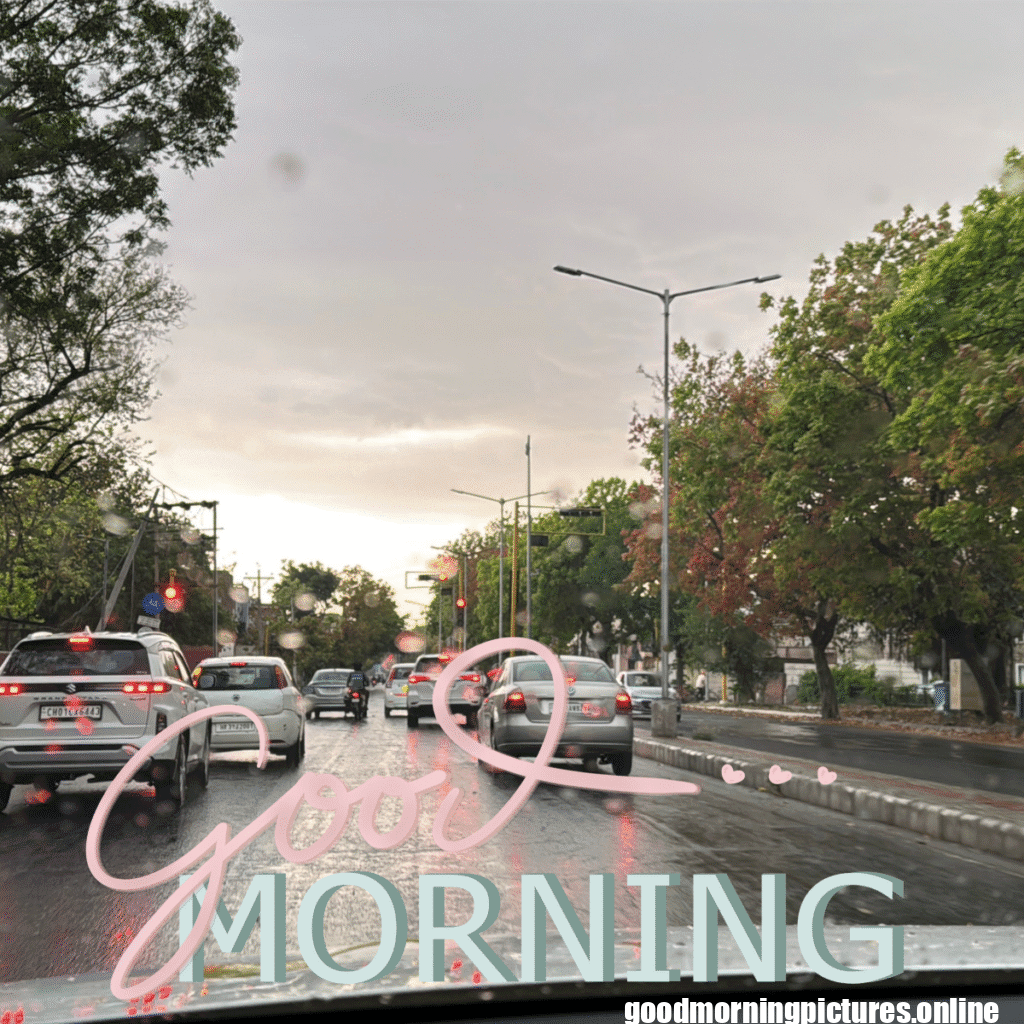 30+ Beautiful rainy good morning Images 2 Rainy Day Good Morning Images
