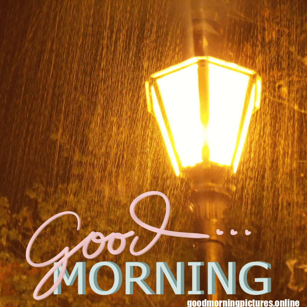 30+ Beautiful rainy good morning Images 4 Rainy Day Good Morning Images