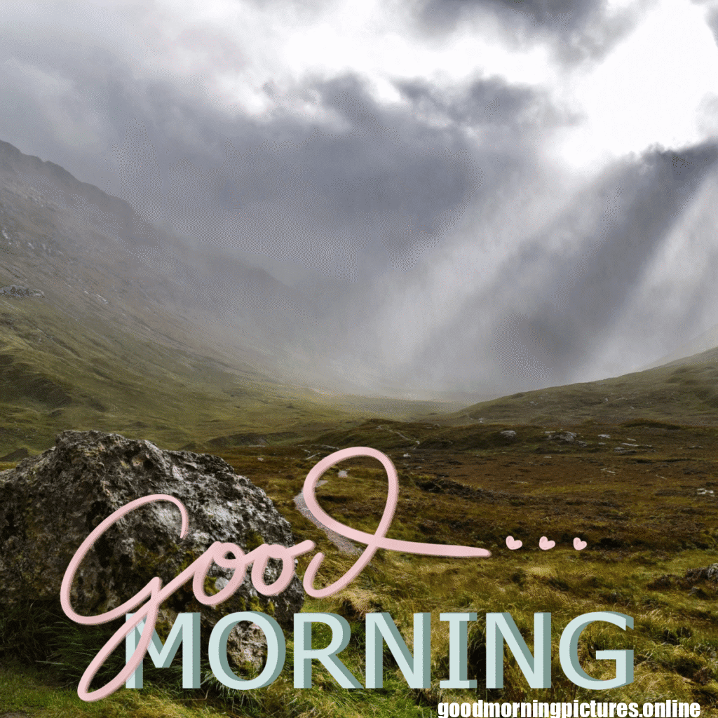 30+ Beautiful rainy good morning Images 5 Rainy Day Good Morning Images
