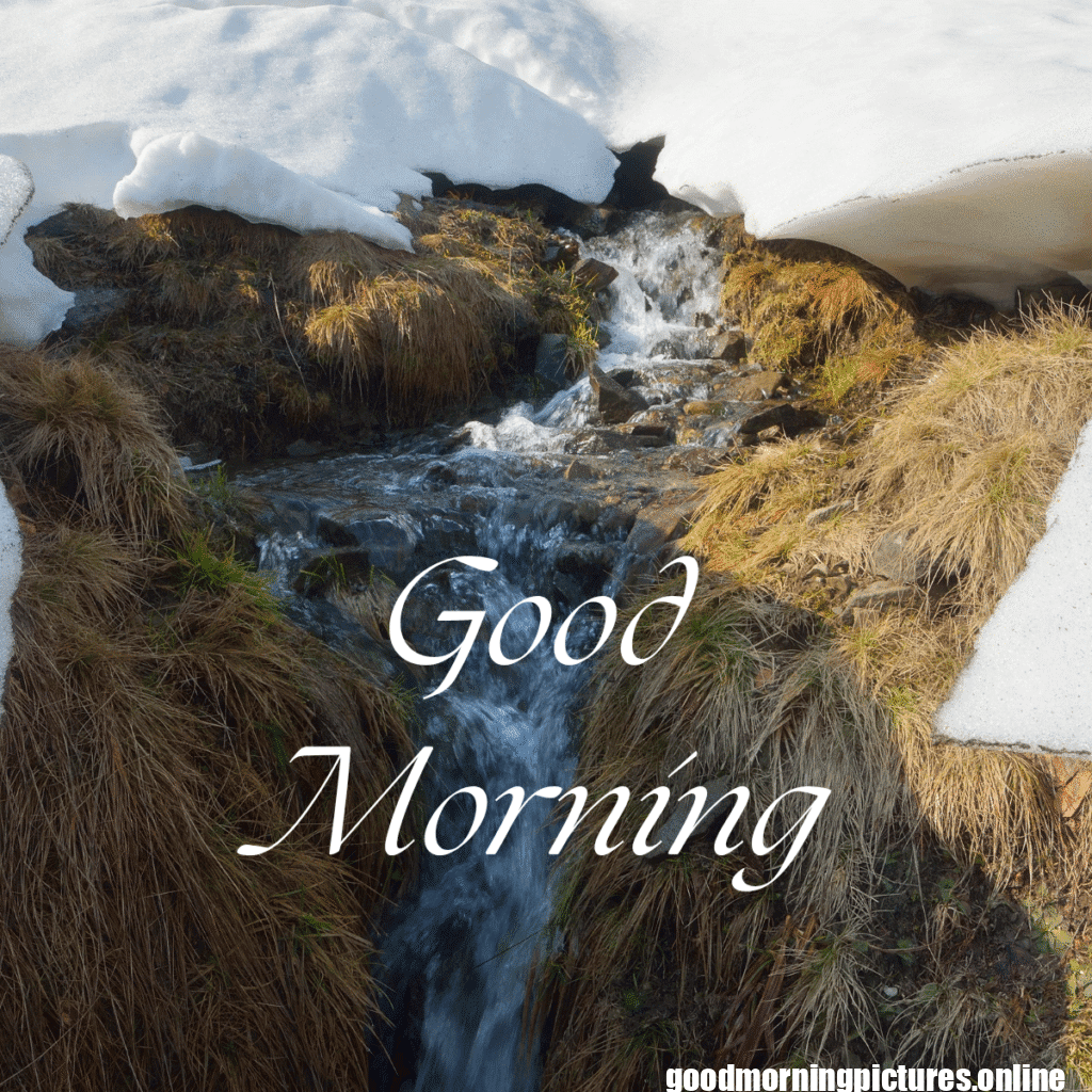 Beautiful Good Morning Images to Start Your Day 12 Family 20250908 110142 0012