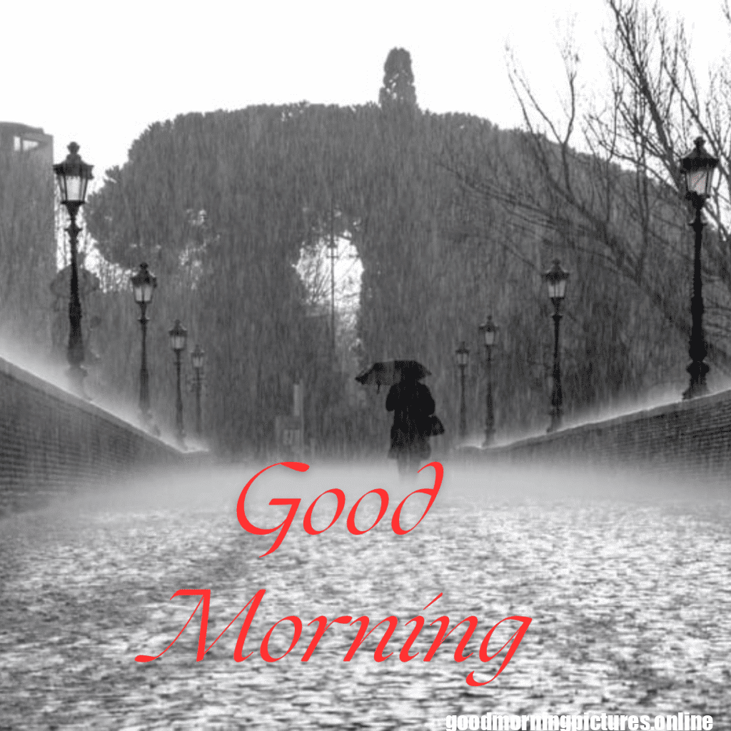 Beautiful Good Morning Images to Start Your Day 5 Family 20250908 110142 0020