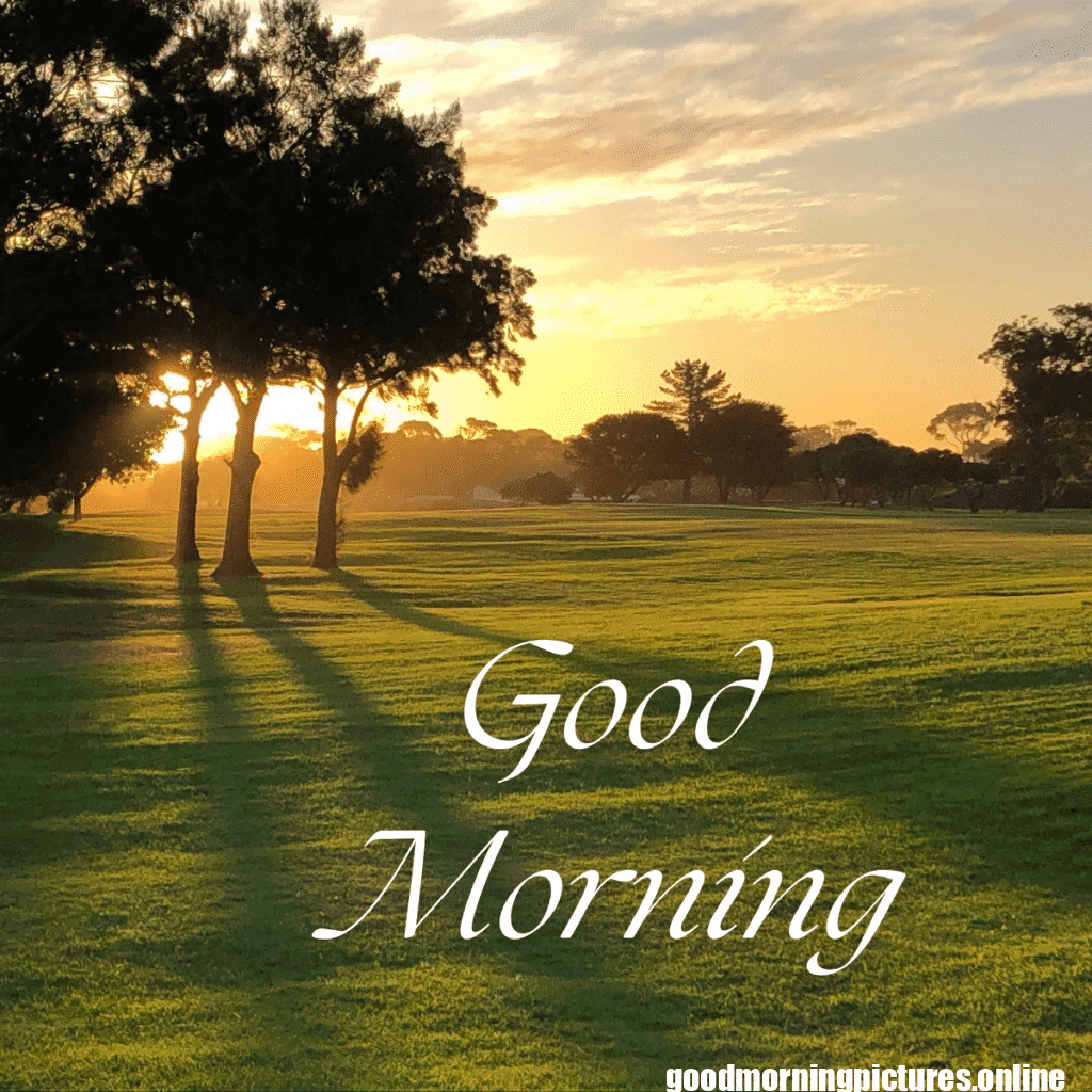 Beautiful Good Morning Images to Start Your Day 35 Family 20250908 110143 0025