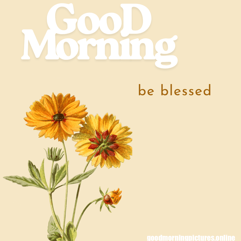 Good Morning Images with Flowers & Nature 26 GooD Morning 20250905 180147 0001