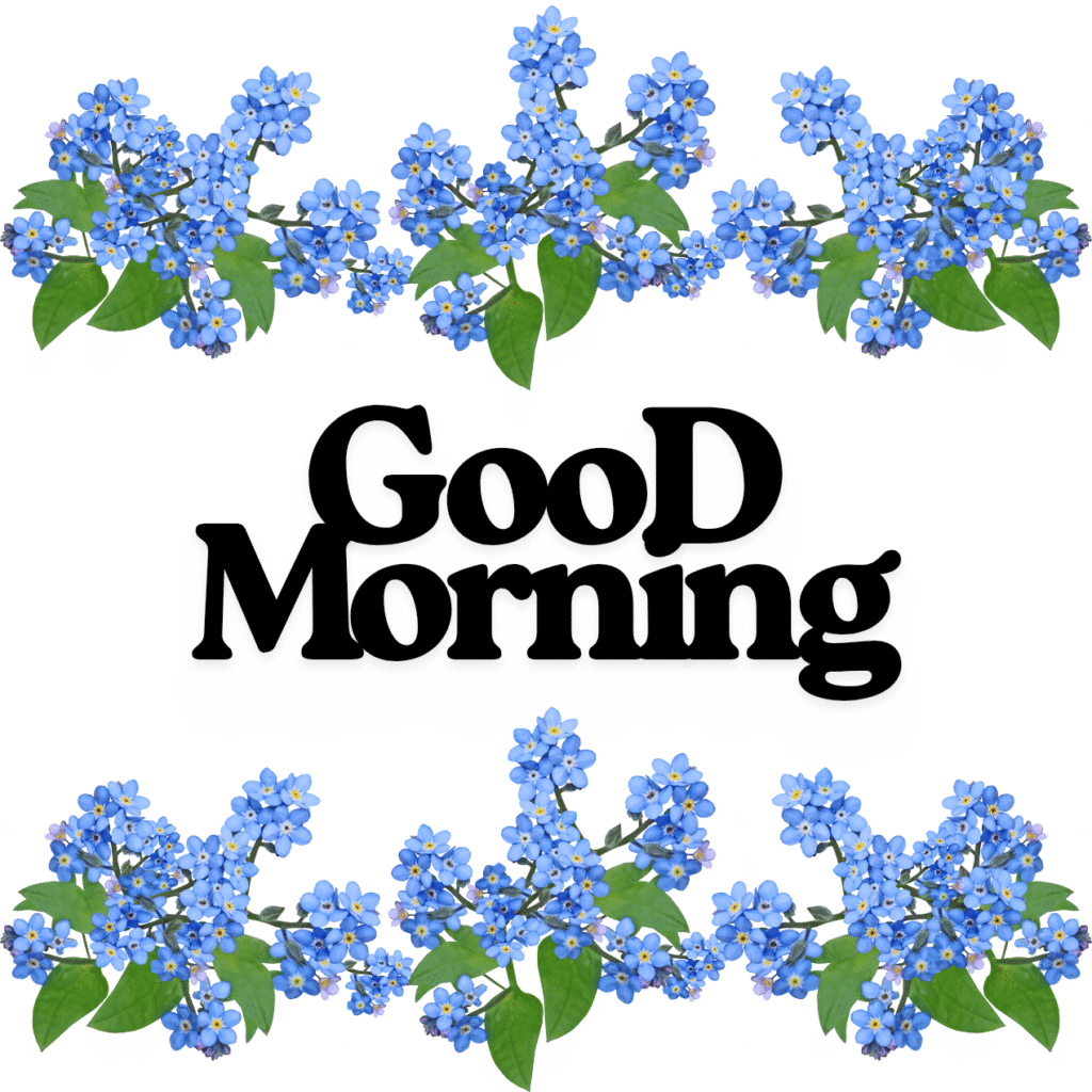 Good Morning Images with Flowers & Nature 33 GooD Morning 20250905 180147 0008