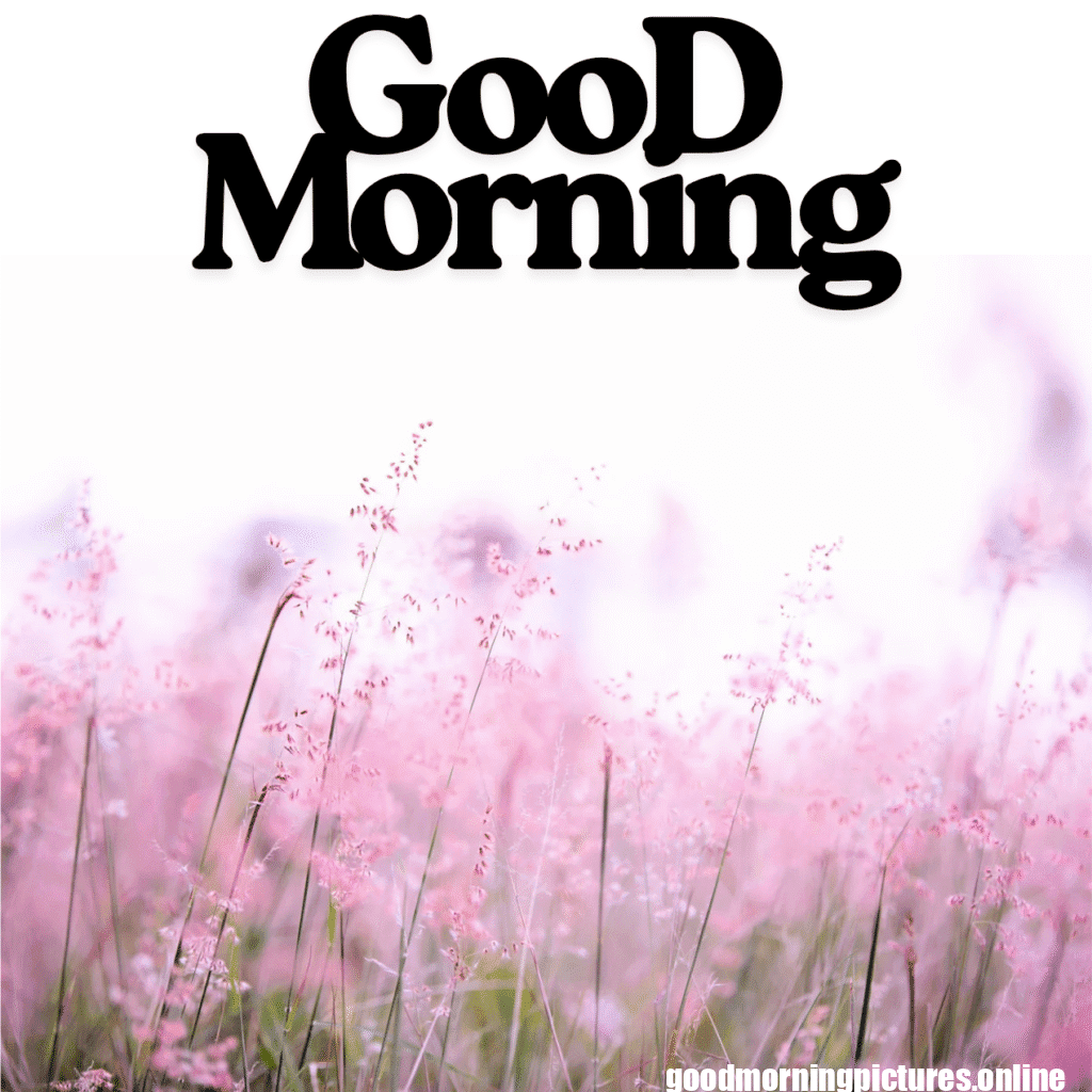Good Morning Images with Flowers & Nature 4 GooD Morning 20250905 180148 0012