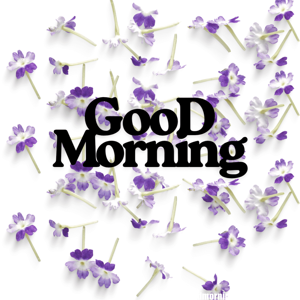 Good Morning Images with Flowers & Nature 6 GooD Morning 20250905 180148 0014