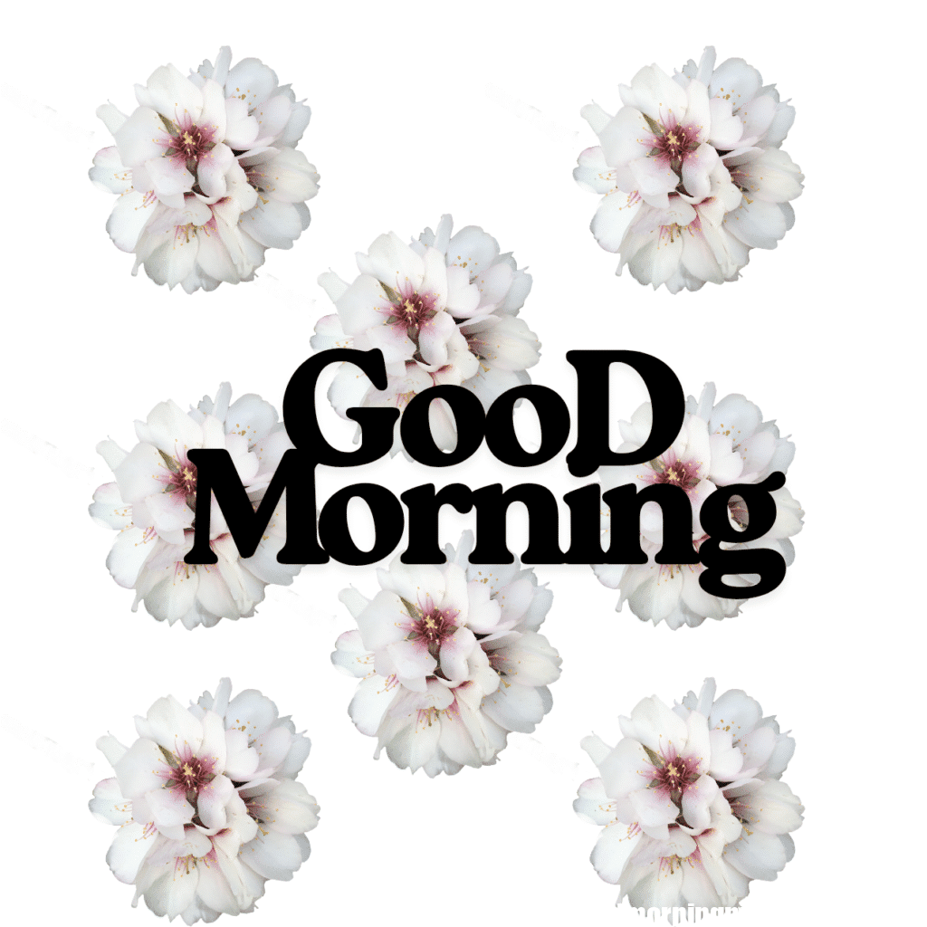 Good Morning Images with Flowers & Nature 9 GooD Morning 20250905 180148 0015
