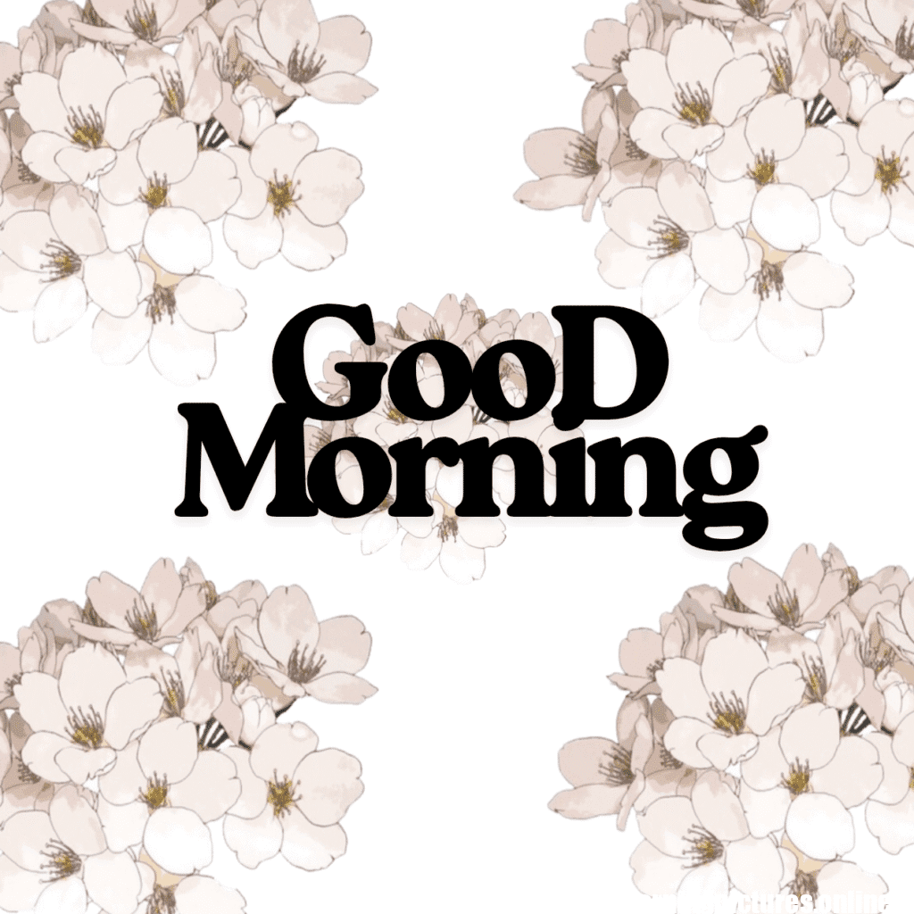Good Morning Images with Flowers & Nature 7 GooD Morning 20250905 180148 0016