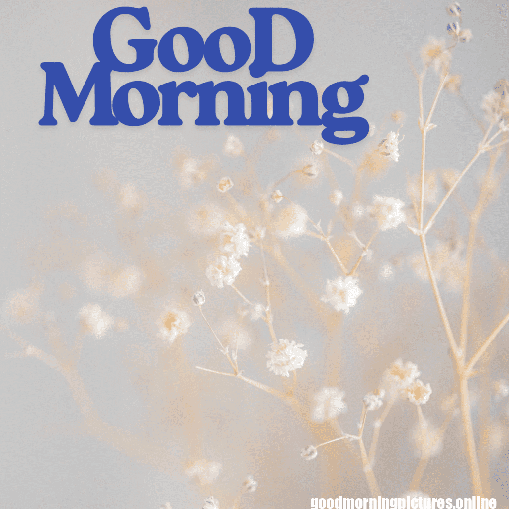 Good Morning Images with Flowers & Nature 15 GooD Morning 20250905 180148 0023