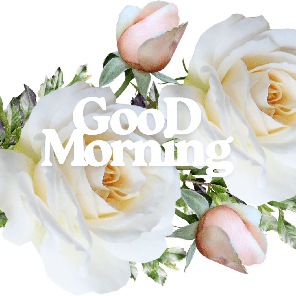Good Morning Images with Flowers & Nature 20 GooD Morning 20250905 180148 0028