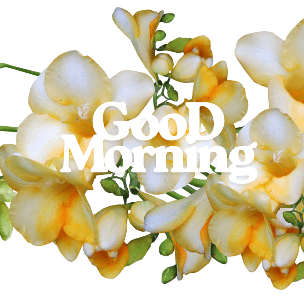 Good Morning Images with Flowers & Nature 23 GooD Morning 20250905 180148 0033