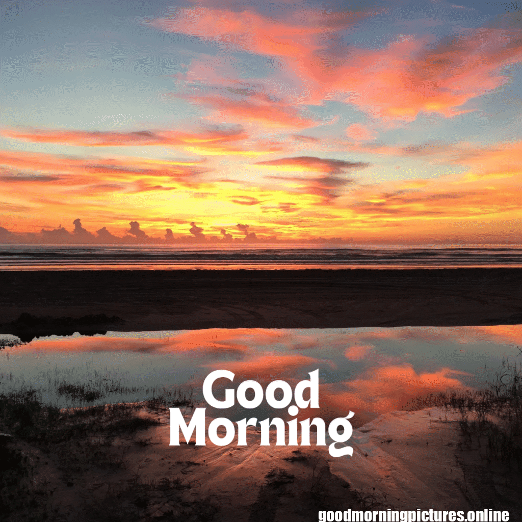 Top 35+ Sun rise good Morning images in 2025 8 Sun rise Good Morning 20250907 214617 0006 Sun rise